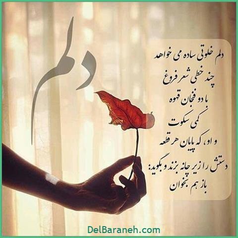 عکس اس ام اس دیوانه کننده