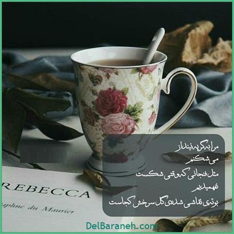 عکس اس ام اس دیوانه کننده