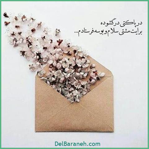 عکس اس ام اس دیوانه کننده