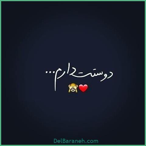 عکس اس ام اس دیوانه کننده