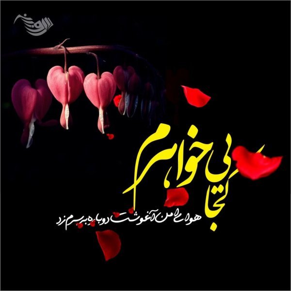 عکس تسلیت به خانواده داغدار