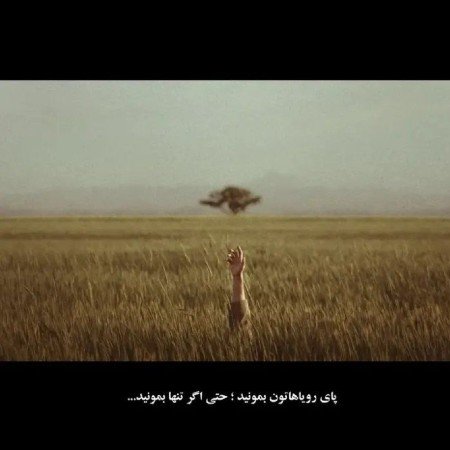  عکس حیوانات بسیار زیبا