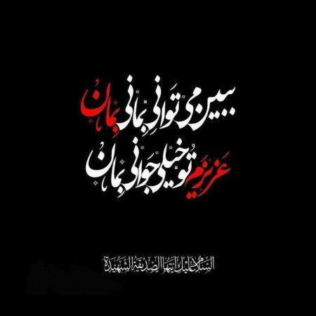  عکس های فاطمیه