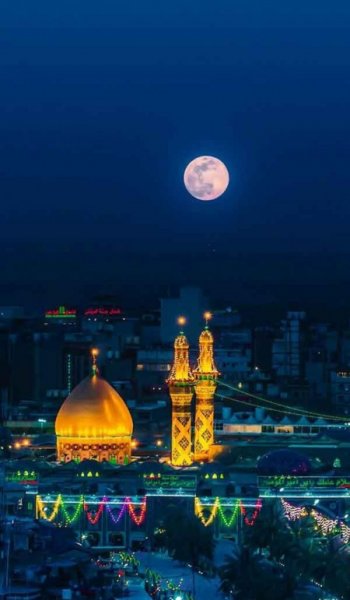  عکس های حرم امام رضا