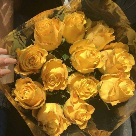  عکس های درسی