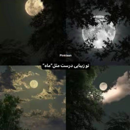  عکس های زیبا