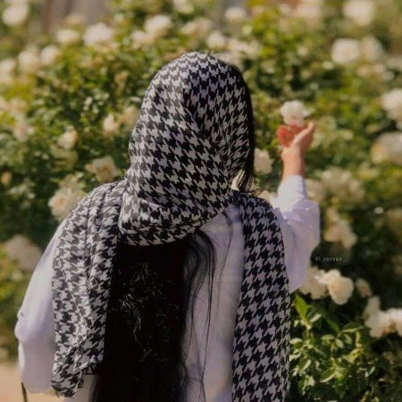  عکس های عاشقانه پروف