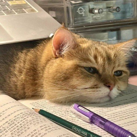  عکس های انگیزشی