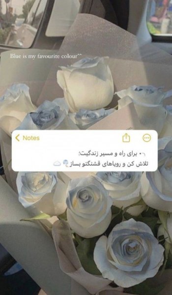  عکس های انگیزشی