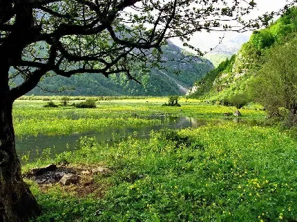  عکس جاده شمال