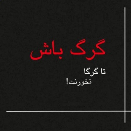  عکس گرگ