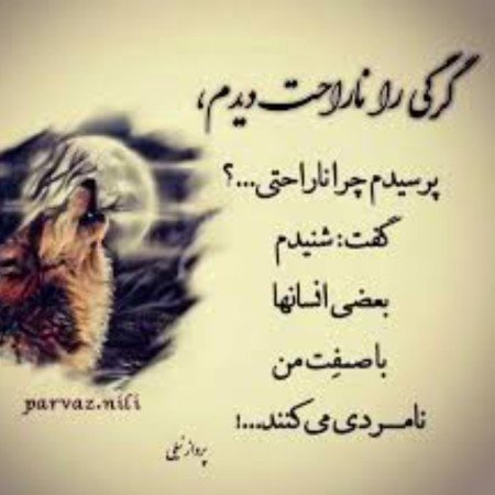  عکس گرگ
