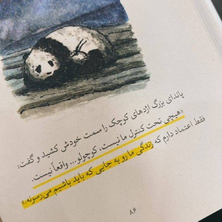  عکس های کوروش