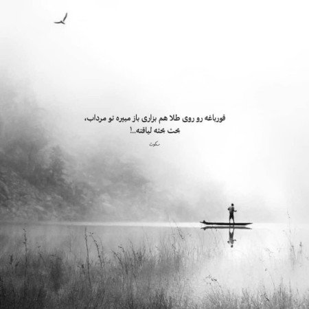 عکس نوشته تیکه دار به فامیل