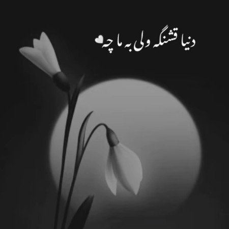 عکس نوشته تیکه دار به فامیل