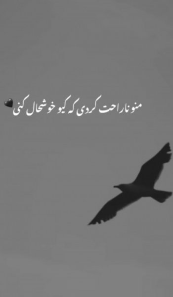  عکس های جدایی