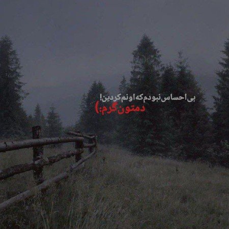  عکس کلبه
