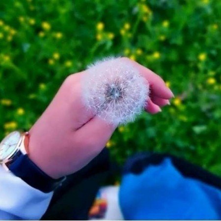  عکس کلبه