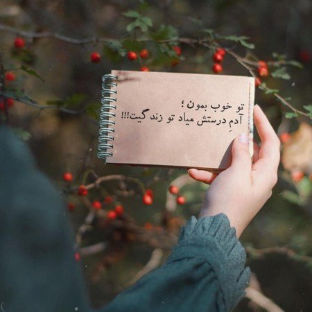 عکس های مو