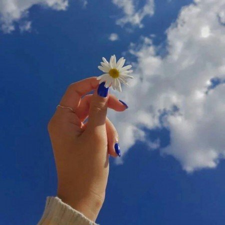  200 عکس پروفایل دخترونه خفن