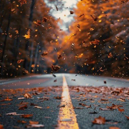  عکس های ترند پاییزی