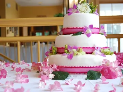  عکس کیک عروس و داماد
