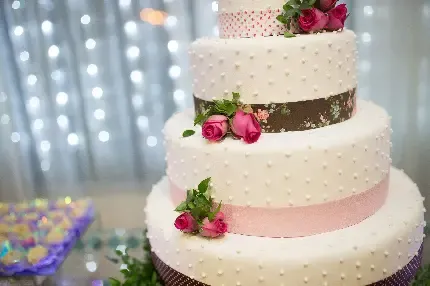  عکس کیک عروس و داماد