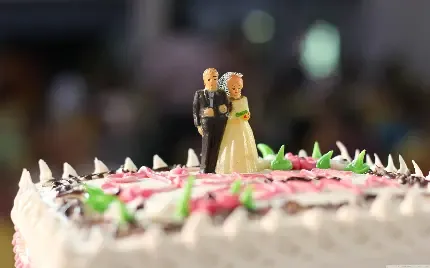  عکس کیک عروس و داماد