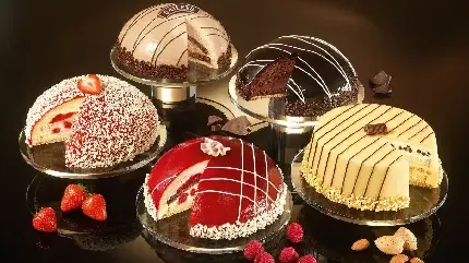  عکس کیک عروس و داماد