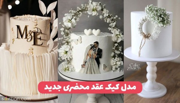  عکس کیک عقد محضری