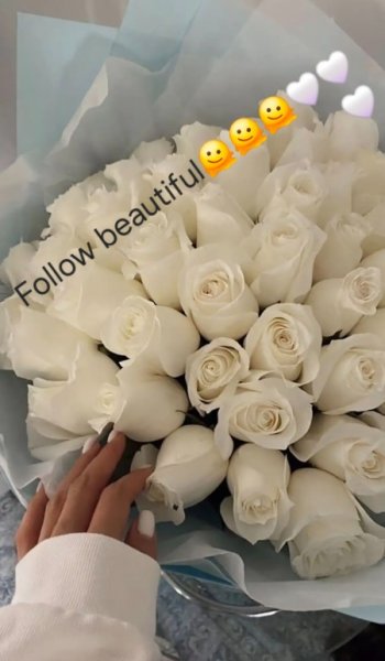  عکس گل رز