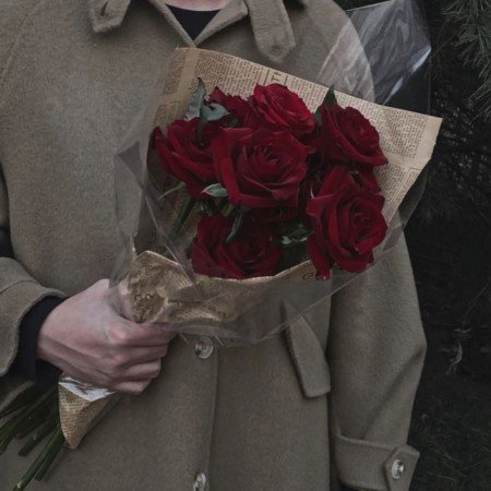  عکس گل رز