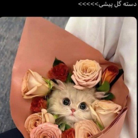  عکس دسته گل