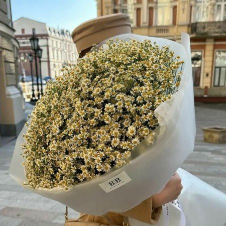  عکس دسته گل