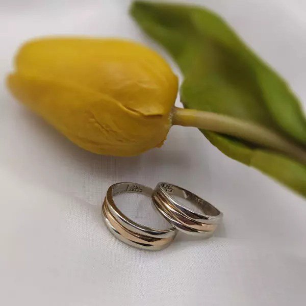  60 عکس حلقه های ترند