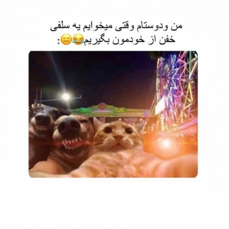  عکس های ترند دوستانه