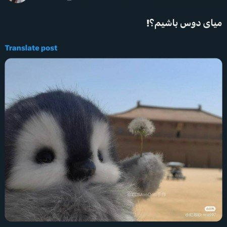  عکس های ترند دوستانه