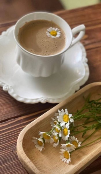  عکس های قهوه