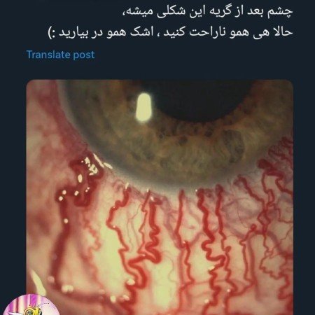  عکس گل لاله