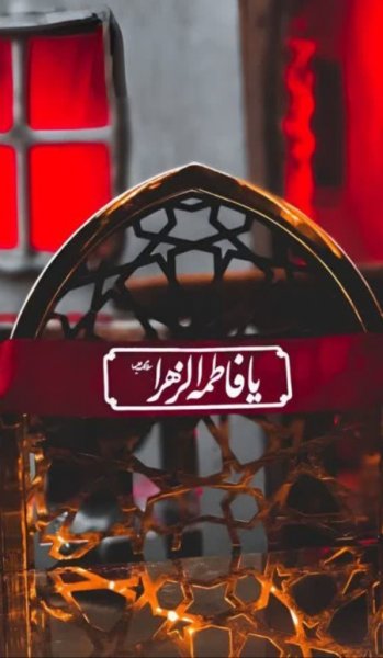  بهترین عکس سال ۲۰۲۵