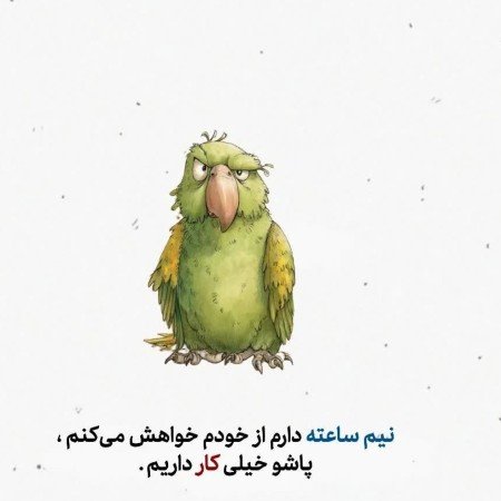  بهترین عکس سال ۲۰۲۵