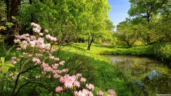 عکس طبیعت با کیفیت بالا برای پروفایل