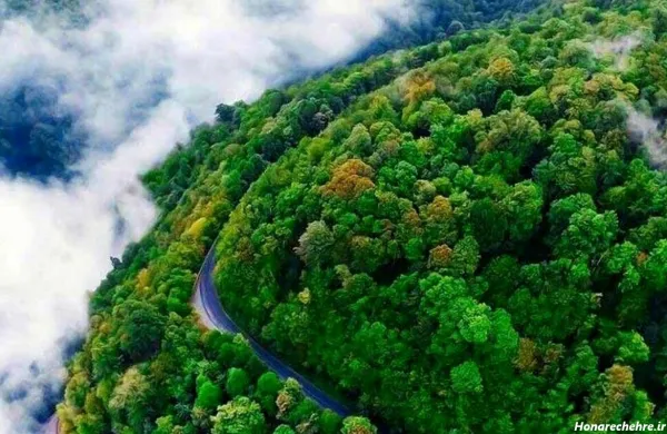  عکس طبیعت با کیفیت بالا برای پروفایل