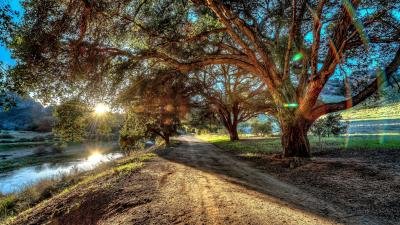  عکس با کیفیت 8k برای گوشی