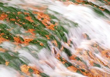  عکس پروفایل جنگل و دریا