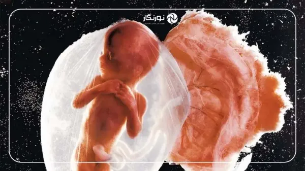  پربیننده ترین عکس جهان