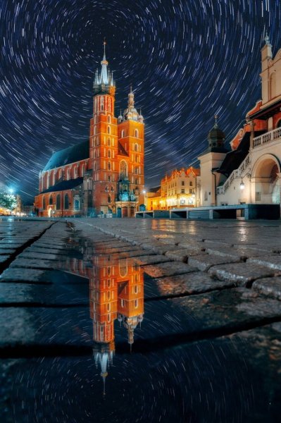  زیباترین عکس سال