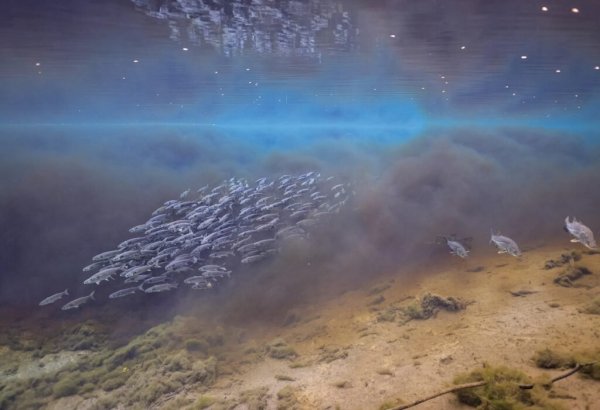  عکس سال برنده جایزه نشنال جئوگرافیک با کیفیت