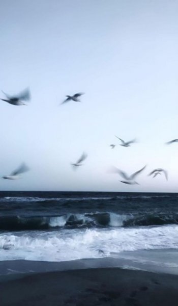  عکس بک گراند دریا