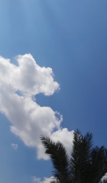  عکس اسمان